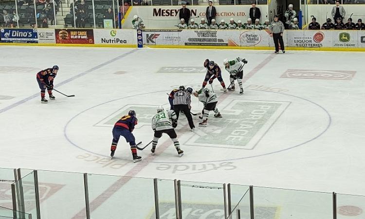 Nighthawks In Portage